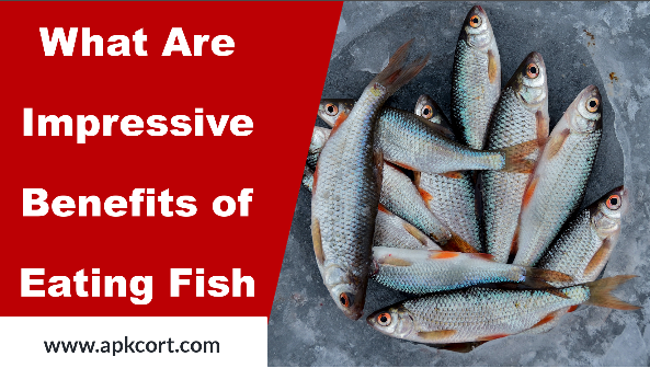 What Are Impressive Benefits of Eating Fish