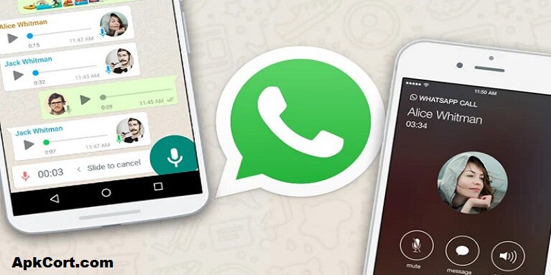 How to check anyone Whatsapp chat History